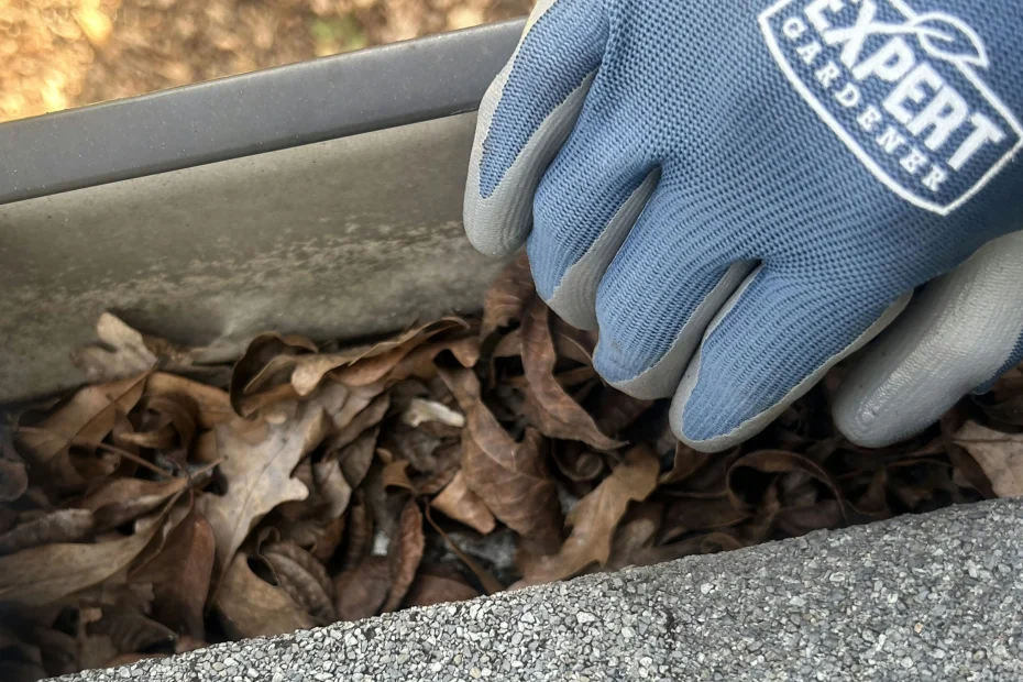 Gutter Cleaning Central