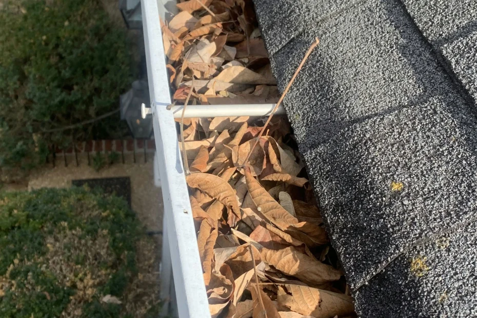 Gutter Cleaning Central