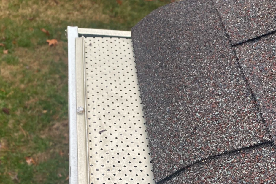 Gutter Cleaning Central